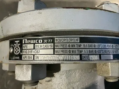 Used 2006 NEWCO FIG .31FCB2 Pumps Ohio US | HGR 24 #1314999