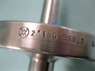 NEW Daily Thermetrics 2" 150# Flanged Thermocouple 16" Probe C10