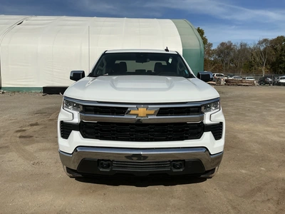 Used 2024 CHEVROLET SILVERADO 1500 Pickup Trucks Michigan US | Miedema Asset Management Group #1568324