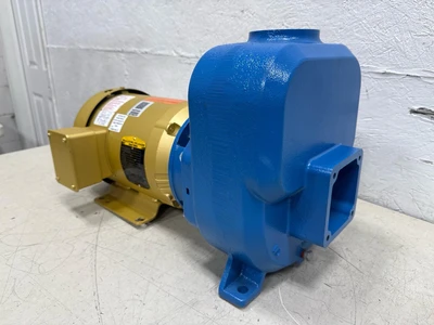 Goulds _UNKNOWN_ Centrifugal Pumps | Fram Fram LLC (3)