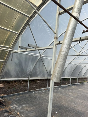 Used _UNKNOWN_ _UNKNOWN_ Greenhouse Equipment Michigan US | Miedema Asset Management Group #1396087