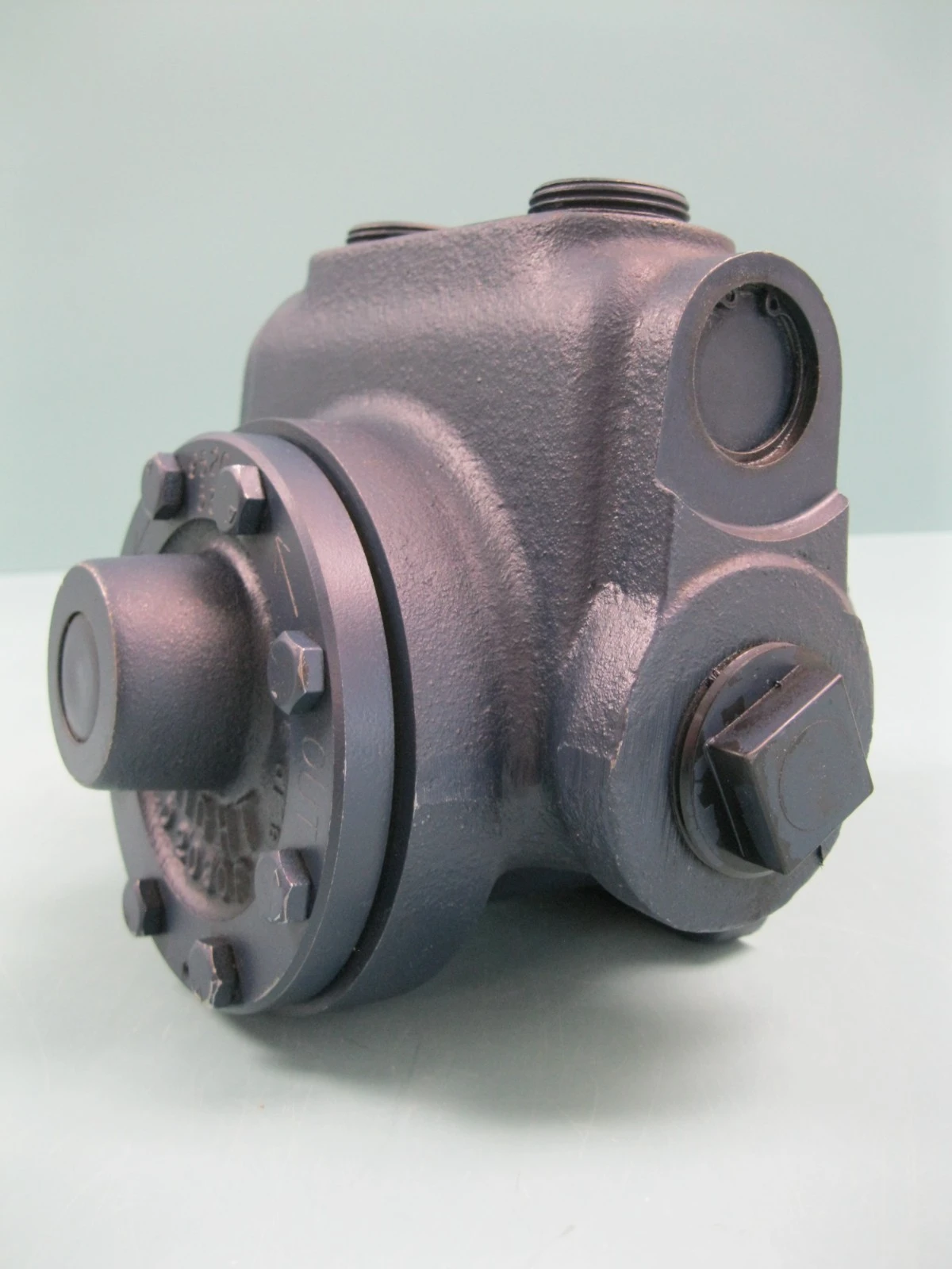 New | in-Stock Haight D2030F Pumps New Hampshire US | Bitter End Trading #1452951