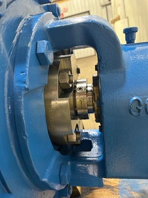 USED Goulds 3700