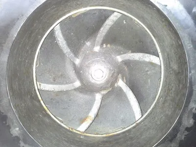 USED Goulds 3175