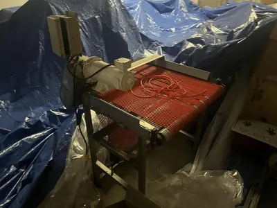 Berry Sizing Conveyor