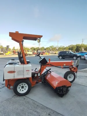 USED 2018 ADVANCE SM300