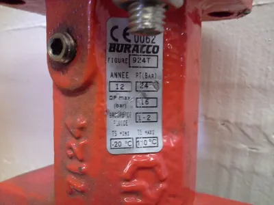 Buracco Figure 824T Butterfly Valve, DN125