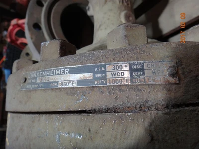 Lunkenheimer 6", Class 300, WCB, Gate Valve