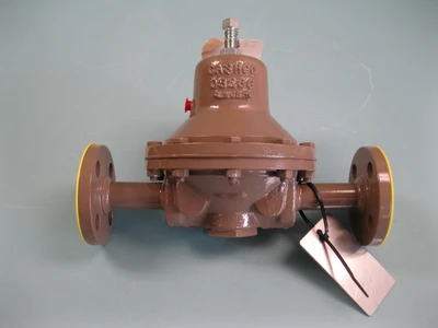 NEW Cashco 2B5-5S37-62X57435C