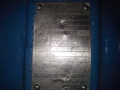 USED Goulds 3175