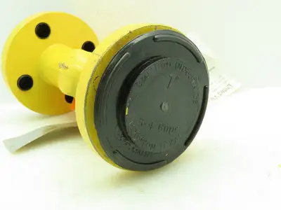 SWI A105N Steel Gate Check Valve 1" Flanged Raised Face Class 300# Monel Spiral