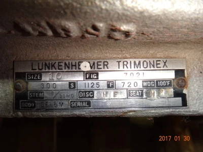 Lunkenheimer 10", Class 300, CF8M, Gate Valve