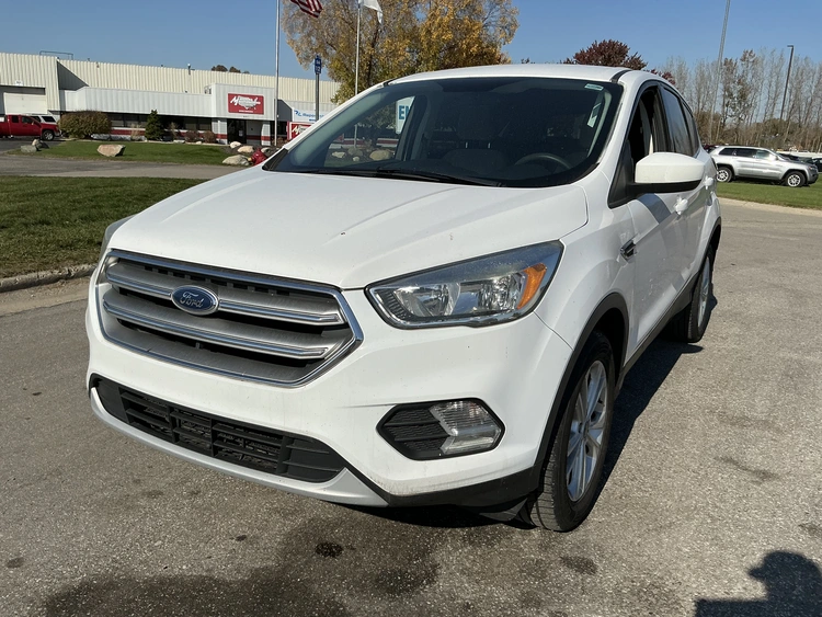 Used 2017 FORD ESCAPE Utility Vehicles Michigan US | Miedema Asset Management Group #1732721