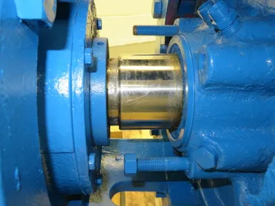 USED Goulds 3175