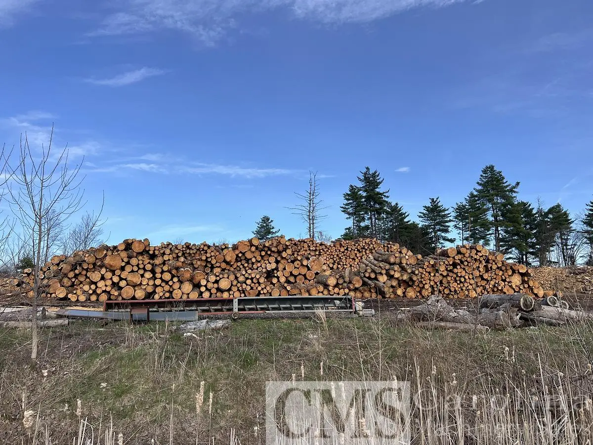 Used COMPLETE SHAVING MILL OPERATION WITH LAND, DRYING & BAGGING LINE NEWMAN, BMM, MEC, WEBB, RETHCEIF, CAT Woodworking Complete Operations North Carolina US | CAROLINA MACHINERY SALES #1269536