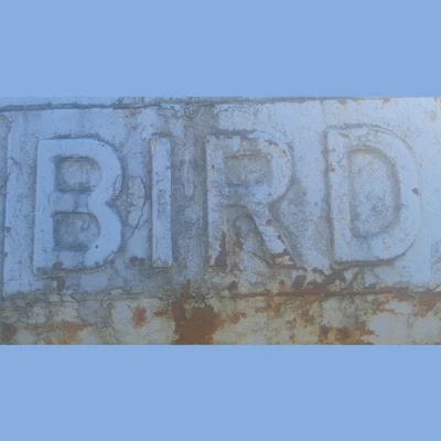 USED BIRD 24 X 38