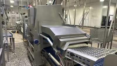 USED MAREL SENSORYX