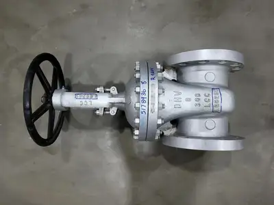 8" Class 300 Gate Valve B16.34