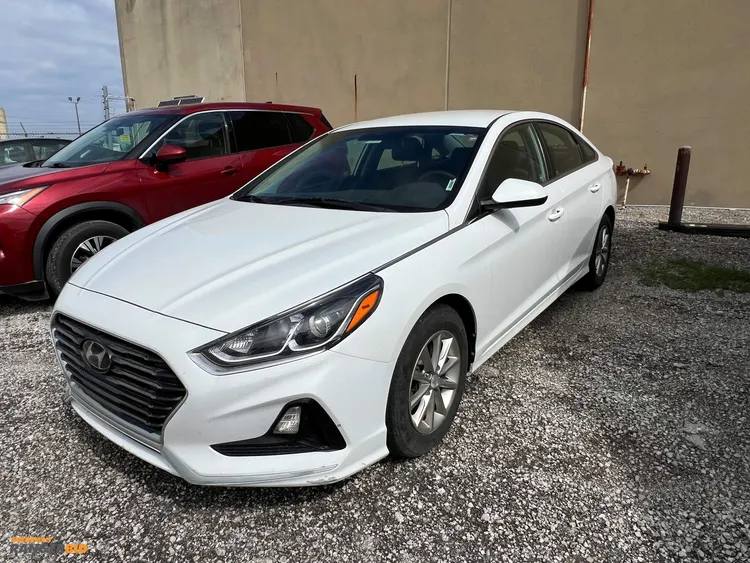 Used 2019 HYUNDAI SONATA SE Sedans Indiana US | Miedema Asset Management Group #1070827