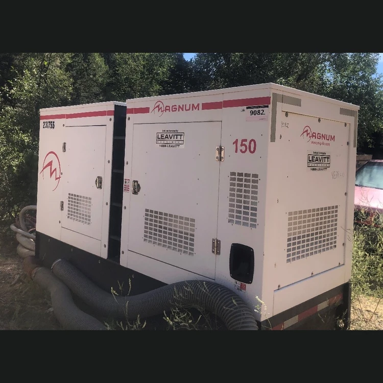Used MAGNUM GENERATOR MMG150 Diesel Generators US | Savona Equipment LTD #1170334