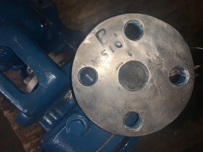 USED Goulds 3199