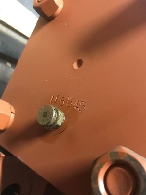 NEW P & H, Whiting 10 Ton